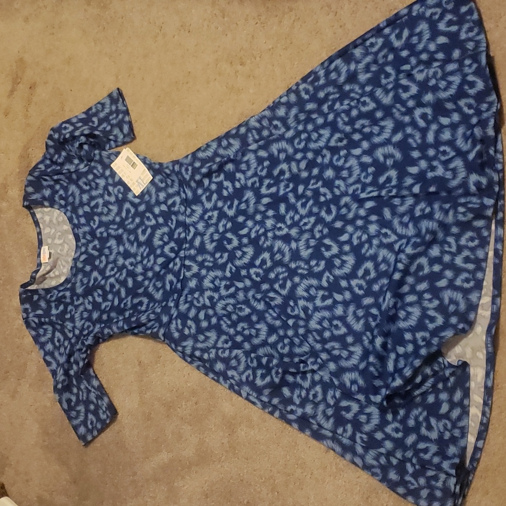 Lularoe Nicole  dress